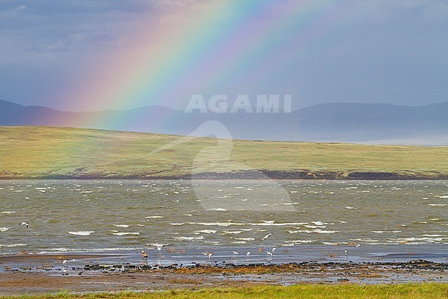 Rainbow over a Salt lake, Russia (Buryatia) stock-image by Agami/Ralph Martin,