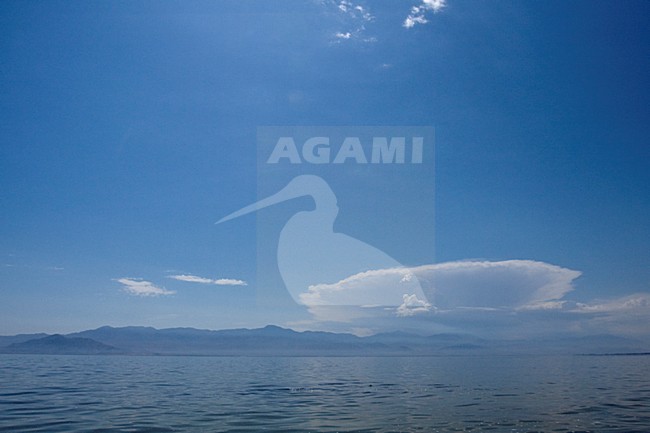 Salton Sea een zoutmeer in Californie USA, Salton Sea a salt lake in California USA stock-image by Agami/Wil Leurs,