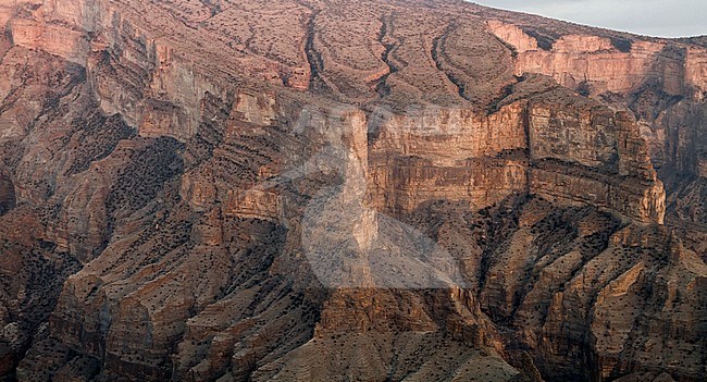 Landscape Jabal Shams, Oman stock-image by Agami/Ralph Martin,