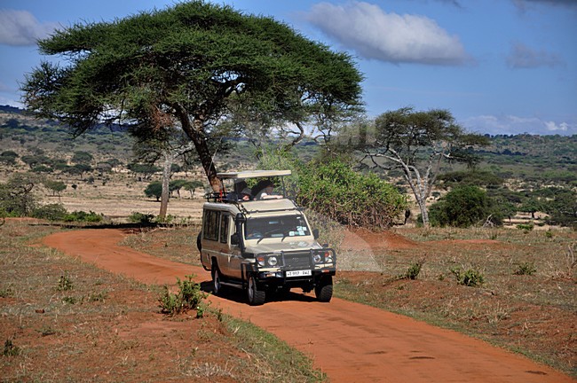 Safari in Tarangire National Park, Tanzania stock-image by Agami/Laurens Steijn,