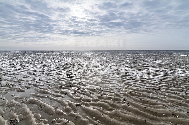 Low tide at Scharhorn, German Wadden Sea. stock-image by Agami/Ralph Martin,