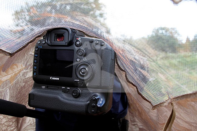 camera onder een burka stock-image by Agami/Chris van Rijswijk,