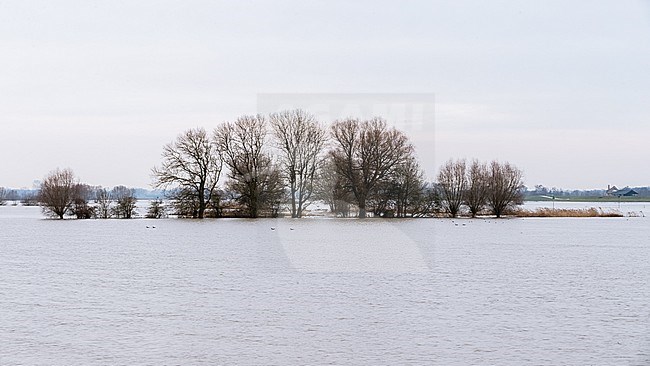 IJssel hoog water, IJssel high water stock-image by Agami/Eric Tempelaars,
