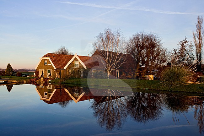 Nederlandse boerderij te Stompwijk; Dutch farm at Stompwijk stock-image by Agami/Marc Guyt,