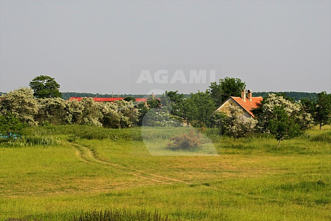 Boerderij in Hortobagy; Farm at Hortobagy stock-image by Agami/Marc Guyt,