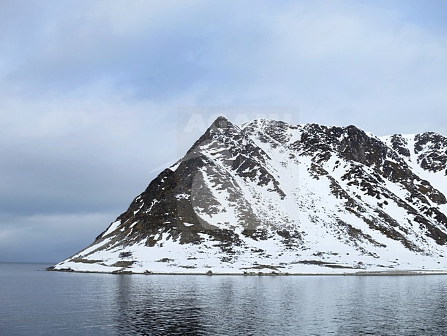 Fugelsang, Spitsbergen stock-image by Agami/Marc Guyt,