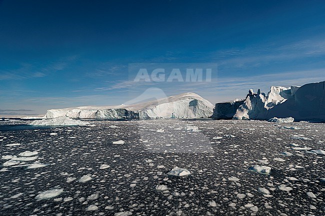 A view of icebergs and melting pack ice in Ilulissat icefjord, an UNESCO World Heritage Site. Ilulissat Icefjord, Ilulissat, Greenland. stock-image by Agami/Sergio Pitamitz,