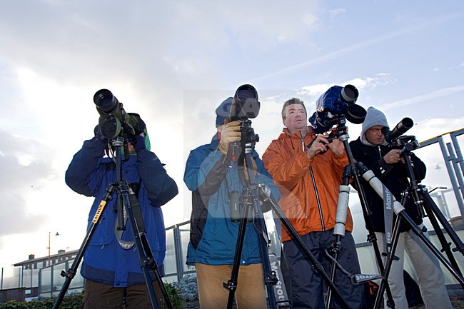 Vogelaar kijken naar zeevogels; Birdwatcher watching sea birds stock-image by Agami/Marc Guyt,