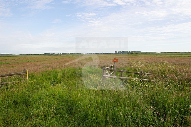 Landschap Arkemheen, Landscape Arkemheen stock-image by Agami/Roy de Haas,