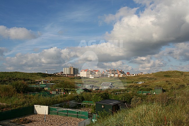 Dunes of Six coastal village Egmond aan Zee Netherlands; Duinen van Six kustdorp Egmond aan Zee Nederland stock-image by Agami/Marc Guyt,