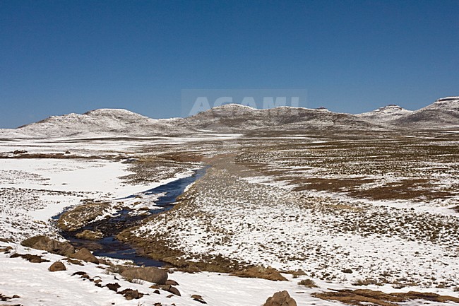Drakensbergen, Lesotho stock-image by Agami/Marc Guyt,