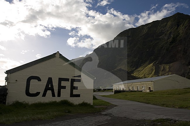 Tristan da Cunha stock-image by Agami/Marc Guyt,