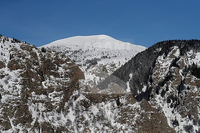Snow covered Sredna Gora mountains near Koprivshtitsa, Bulgaria. stock-image by Agami/Marc Guyt,