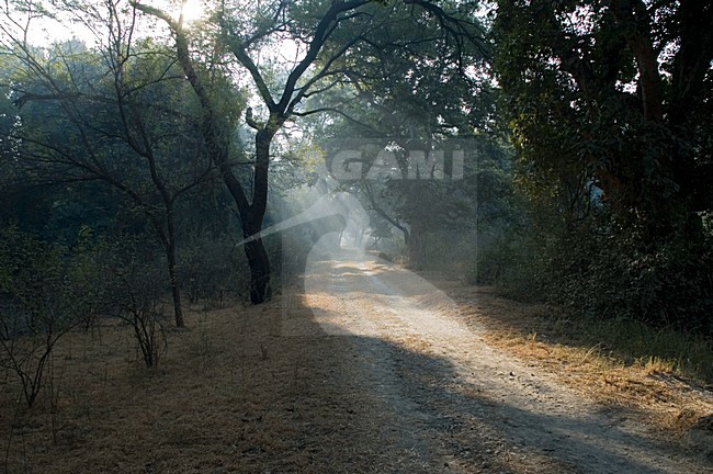 dirtroad Bharatpur India; zandweg Bharatpur India stock-image by Agami/Marc Guyt,