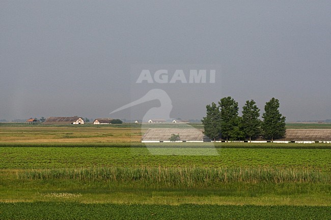 Landerijen in Hortobagy; Farmland at Hortobagy stock-image by Agami/Marc Guyt,