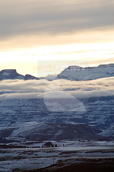 Underberg, Drakensbergen, South-Africa stock-image by Agami/Marc Guyt,