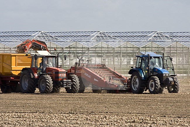 Harvesting onions Netherlands, Uien oogst Nederland stock-image by Agami/Arnold Meijer,