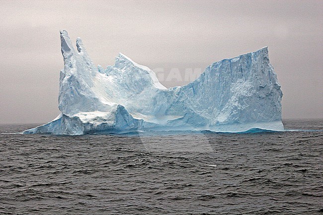 Icebergs near Esperanza, Antarctica stock-image by Agami/Pete Morris,