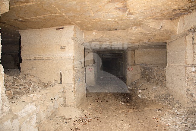 Bat Cave in France stock-image by Agami/Theo Douma,
