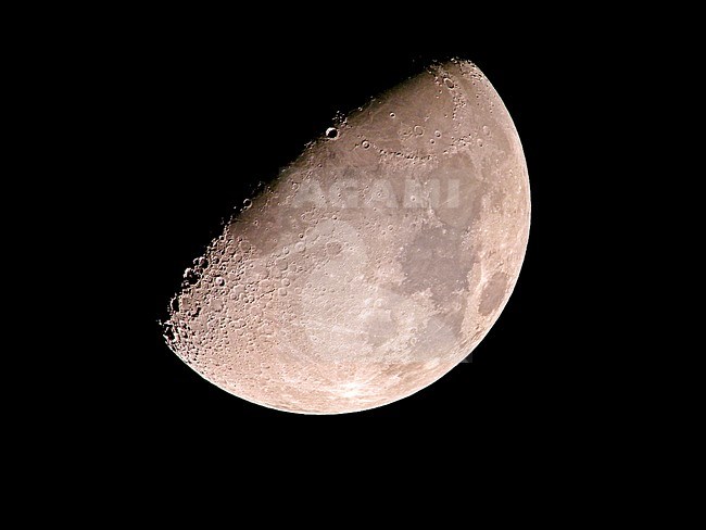 Maan boven Angola; Moon above Angola stock-image by Agami/Pete Morris,