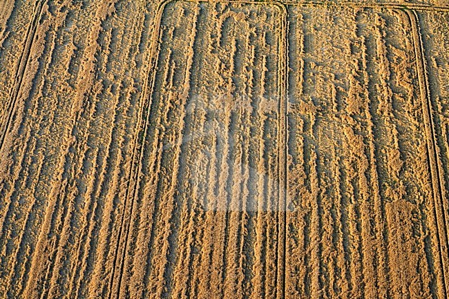 Luchtfoto van de Flevopolder; Aerial photo of the Flevopolder stock-image by Agami/Marc Guyt,