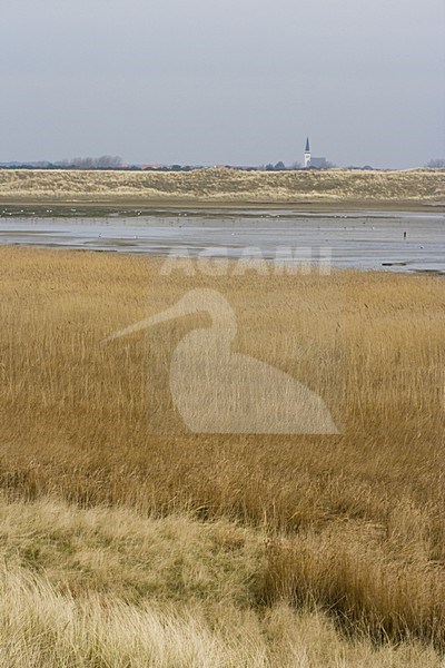 View of the Mok baai NP Duinen van Texel Netherlands, Uitzicht op de Mok baai NP Duinen van Texel Nederland stock-image by Agami/Arnold Meijer,