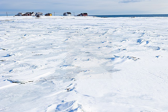  stock-image by Agami/Menno van Duijn,