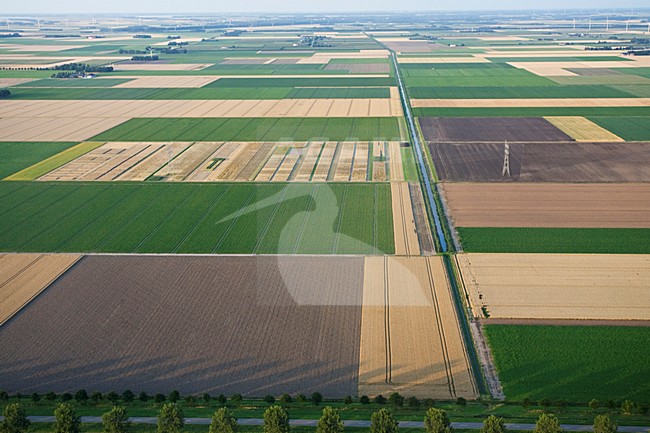 Luchtfoto van de Flevopolder; Aerial photo of the Flevopolder stock-image by Agami/Marc Guyt,