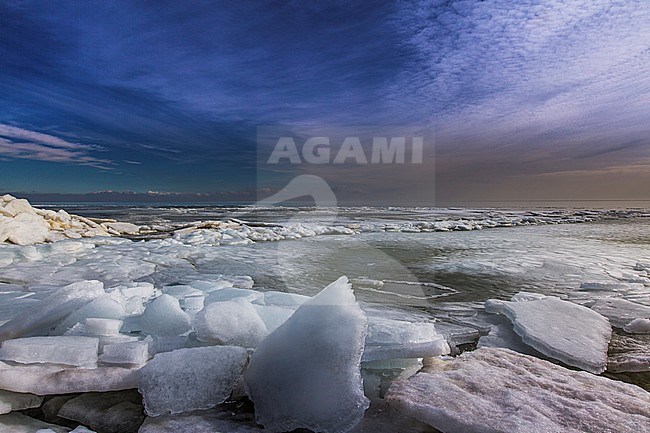 frozen IJsselmeer stock-image by Agami/Wil Leurs,