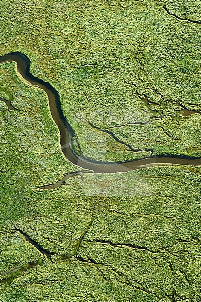 Aerial image from Wadden Sea coast of Schiermonnikoog, Netherlands. stock-image by Agami/Marc Guyt,