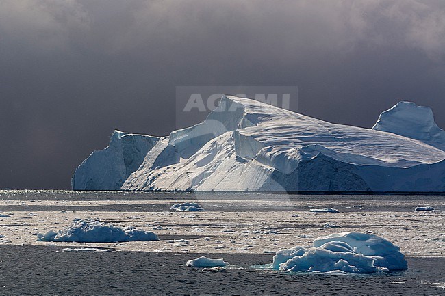 Icebergs and melting pack ice in Ilulissat icefjord, an UNESCO World Heritage Site.  Ilulissat Icefjord, Ilulissat, Greenland. stock-image by Agami/Sergio Pitamitz,