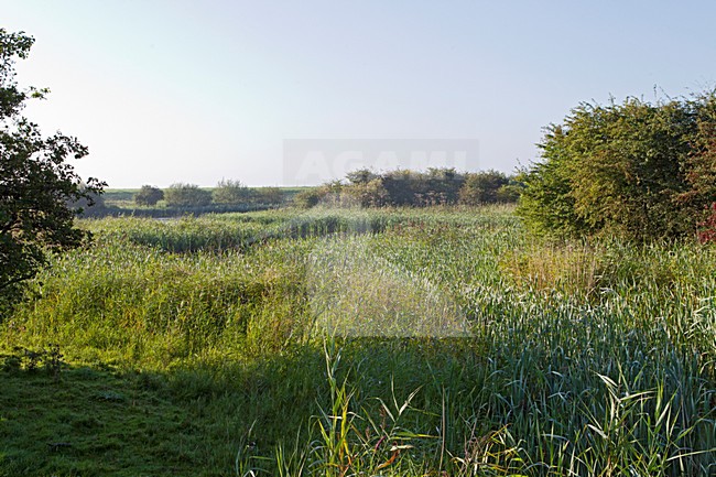 Kromslootpark Almere stock-image by Agami/Roy de Haas,