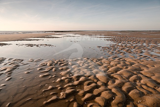 Noordzeekust laag water, North Sea coast low tide stock-image by Agami/Rob Riemer,