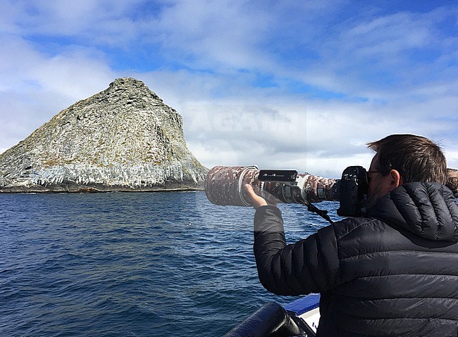 Wildlife photographer at Pyramid Rock in the Chatham islands, New Zealand. The only breeding site of the Chatham Albatross. stock-image by Agami/Marc Guyt,