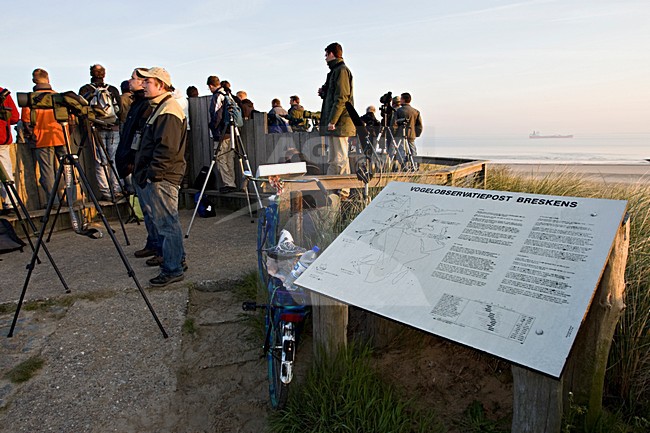 Vogelaars in actie; Birdwatchers in action stock-image by Agami/Marc Guyt,