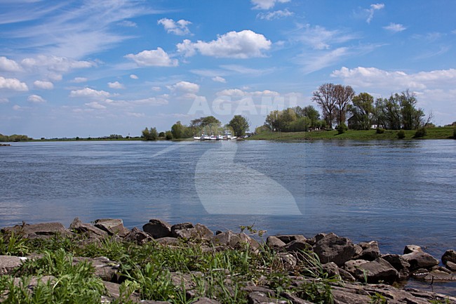 Veerpont over de Rijn (Nederland), Ferry over the river Rhine (Netherlands) stock-image by Agami/Theo Douma,