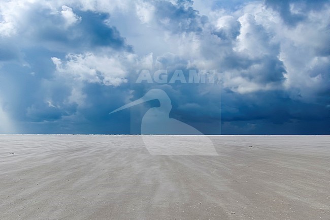 Thunderstorm on Wadden island Norderoogsand, Germany stock-image by Agami/Ralph Martin,