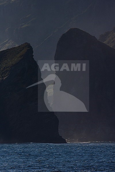 Gough Island, Southern Atlantic stock-image by Agami/Marc Guyt,