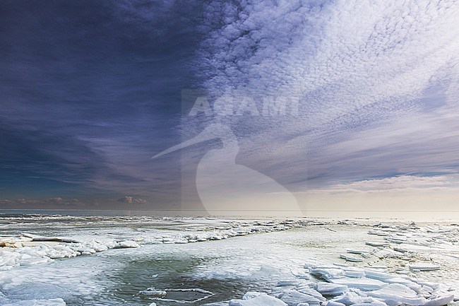 frozen IJsselmeer stock-image by Agami/Wil Leurs,