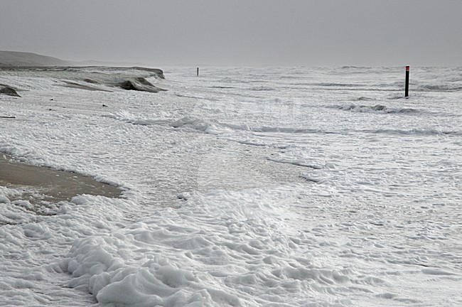  stock-image by Agami/Rob Riemer,