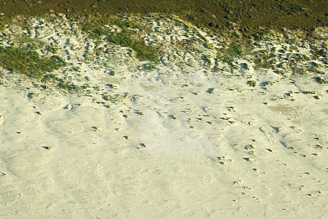 Luchtfoto van Schiermonnikoog; Aerial photo of Schiermonnikoog stock-image by Agami/Marc Guyt,