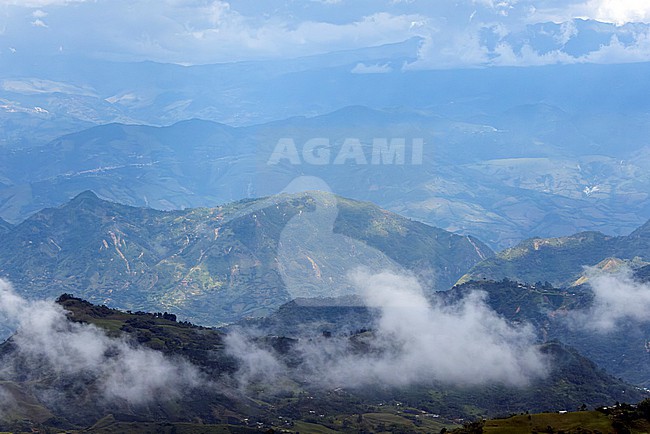 Panoramic view from Mirador El Roble located on Cerro El Tigre in the Cordillera Central of the Andes. stock-image by Agami/David Monticelli,