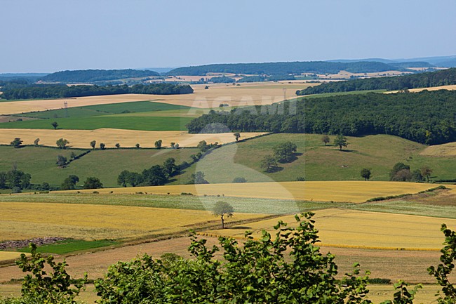 Landbouw in de Morvan (Frankrijk), Agriculture in the Morvan (France) stock-image by Agami/Theo Douma,