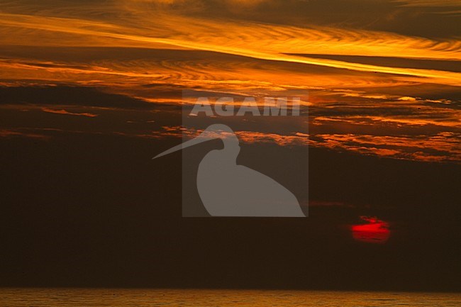 Ondergaande zon aan de kust, Sunset at the coast stock-image by Agami/Menno van Duijn,