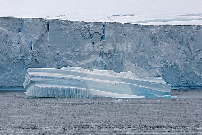 Scenery Neumayer Channel, Antarctica stock-image by Agami/Pete Morris,