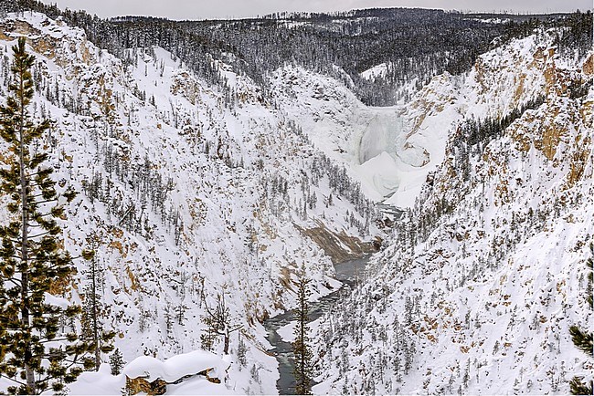 Canyon of the Yellowstone River Yellowstone stock-image by Agami/Rob Riemer,