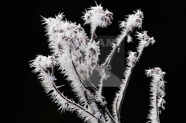  stock-image by Agami/Menno van Duijn,