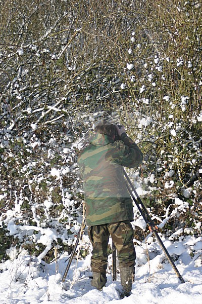 Photographer taking pictures of Long-eared Owl Netherlands, Fotograaf fotos makend van Ransuil Nederland stock-image by Agami/Chris van Rijswijk,