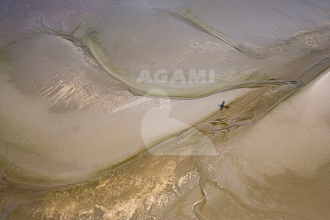 View from a plane. Tidal creeks and mudflats at the Germany Wadden Sea. stock-image by Agami/Ralph Martin,