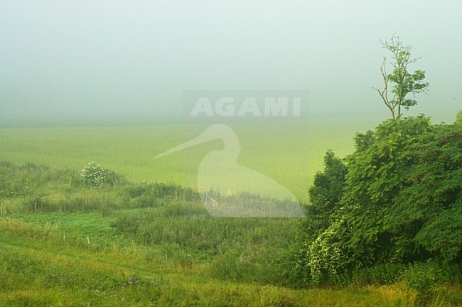 Pietersberg, Limburg, Nederland / Netherlands stock-image by Agami/Marc Guyt,
